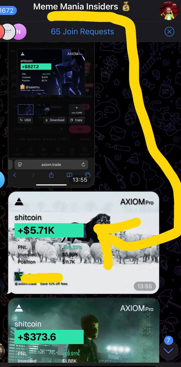 PNL Screenshot 6